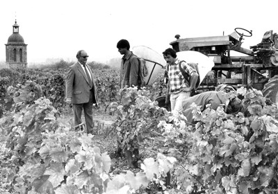 Domaine Huet