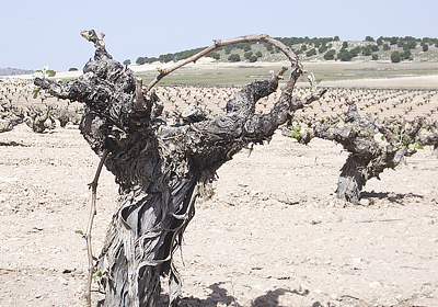 Notes from Spain: 2011