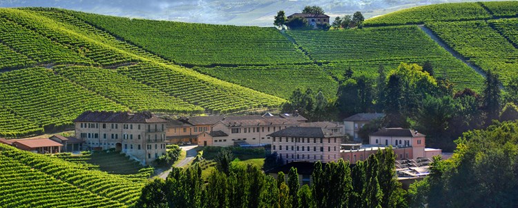 An Important Barolo’s 2013 Debut