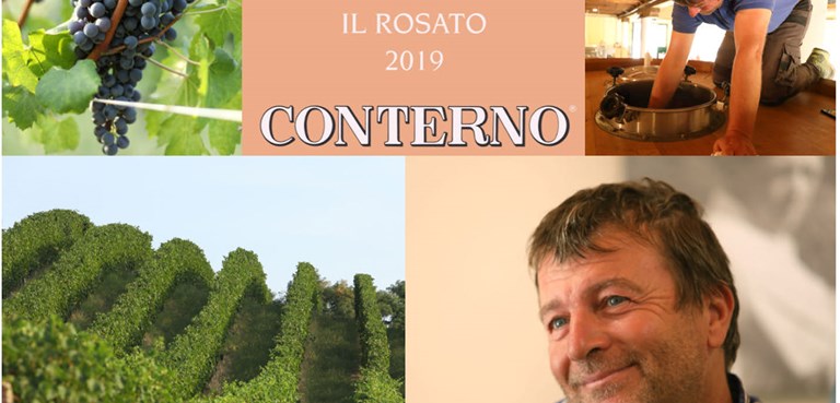 THE Nebbiolo Rosé Roberto Conterno’s 2019 "Il Rosato"