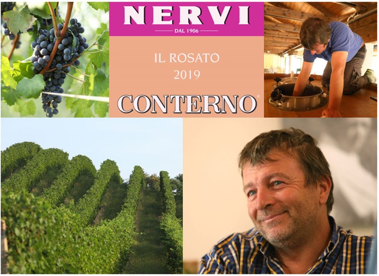 THE Nebbiolo Rosé Roberto Conterno’s 2019 "Il Rosato"