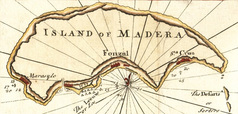 Madeira, The Island Vineyard