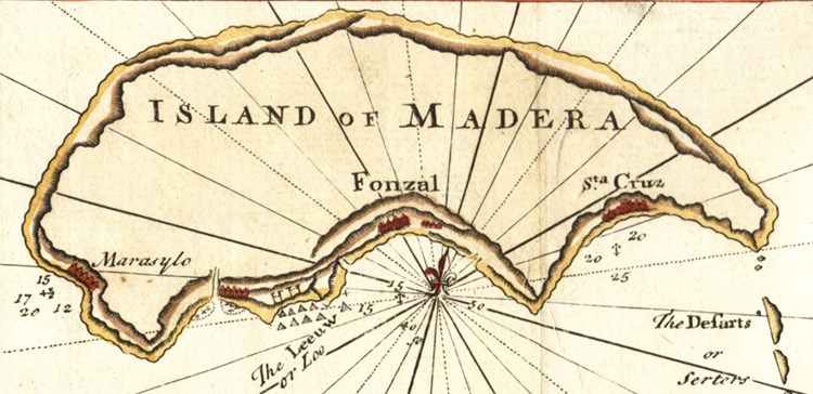 Madeira, The Island Vineyard