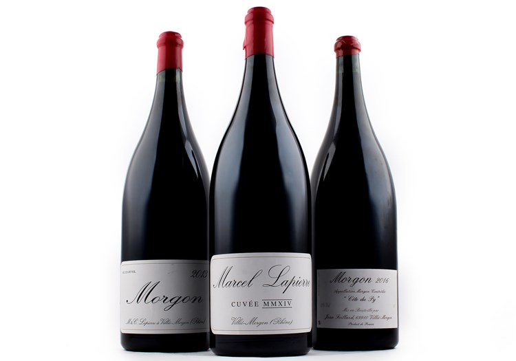 Holy Grail Beaujolais Big Bottles