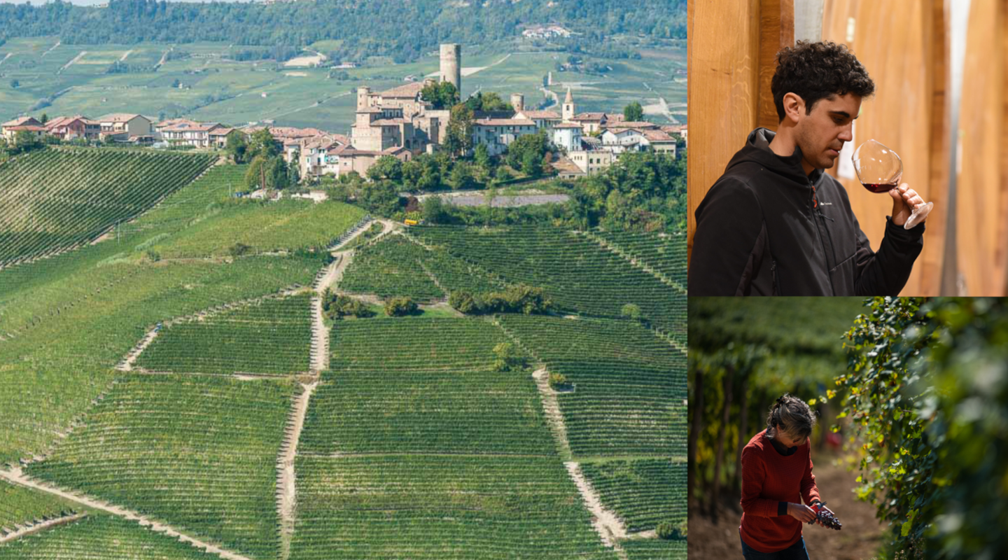 Barolo Royalty: A Legendary Vigna Rionda, Ex-Library