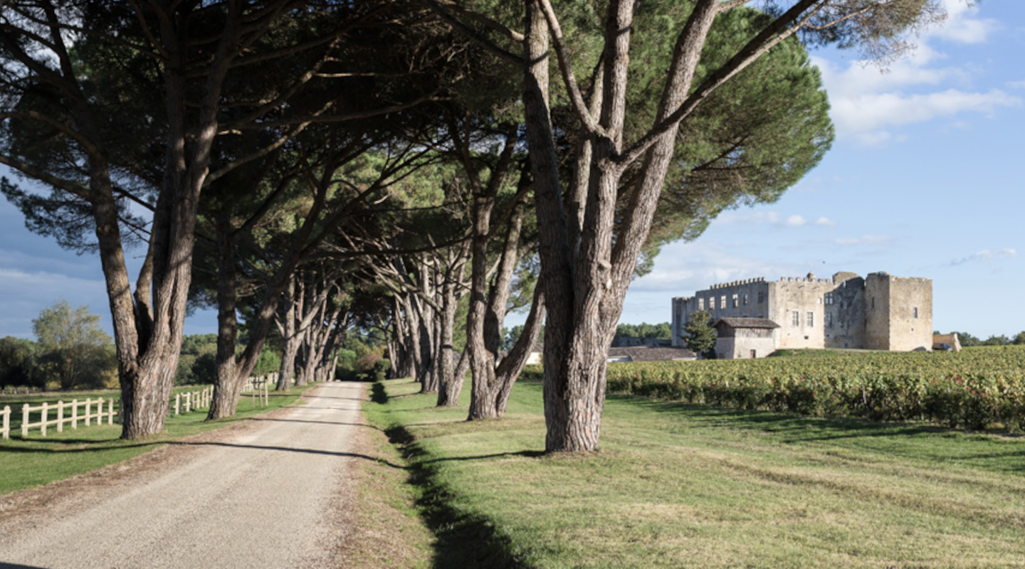 A Gift from Yquem's Sister Estate.