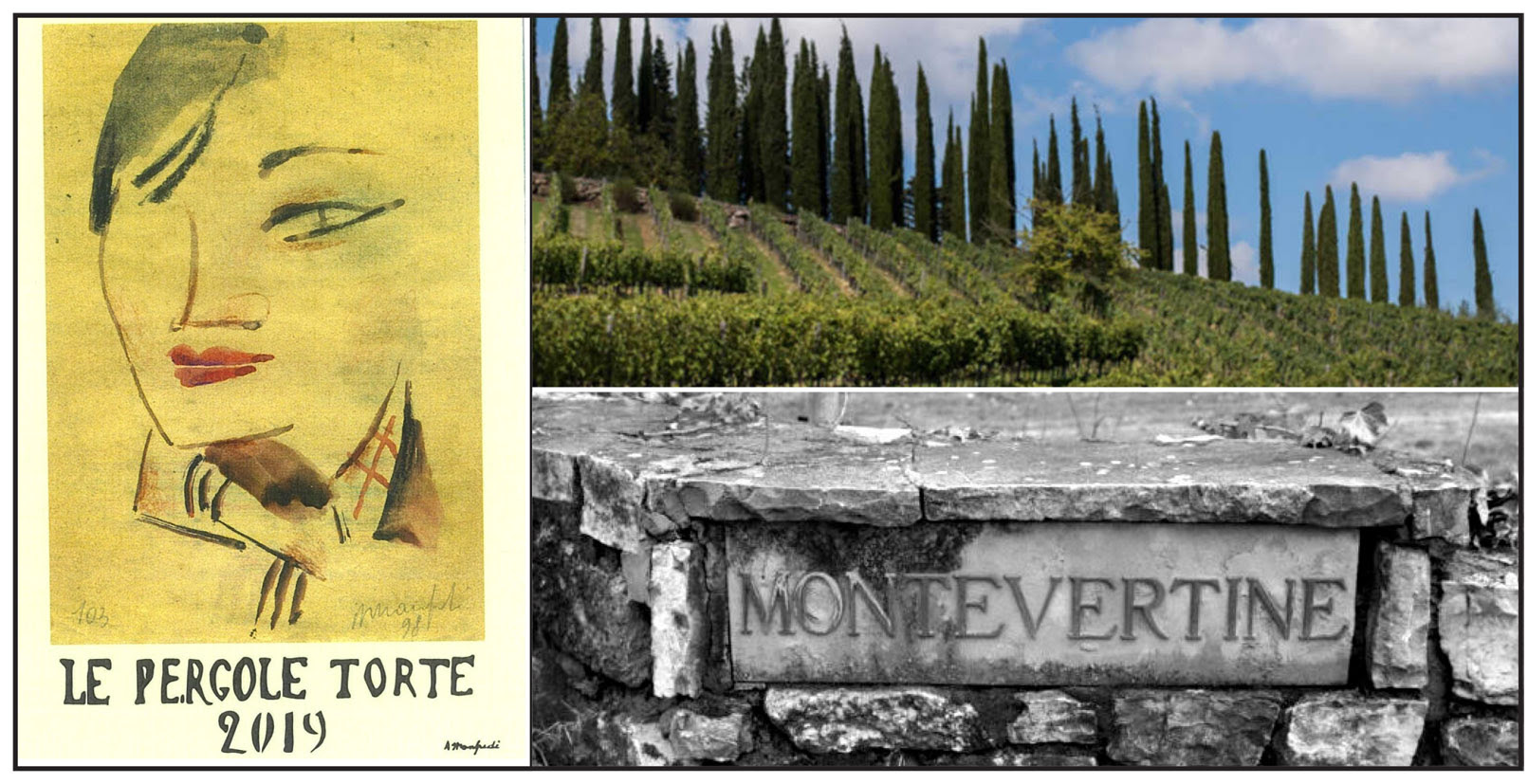 ワイン LE PERGOLE TORE 95 Le Pergole Torte 1995 Montevertine
