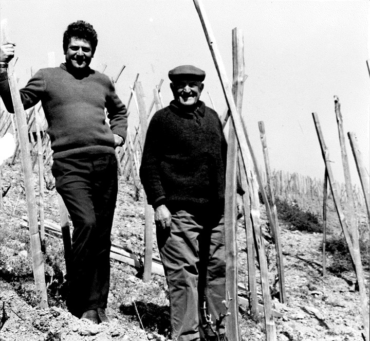 Robert and Georges Jasmin in the vineyard. Photo courtesy of Yapp Bros. UK